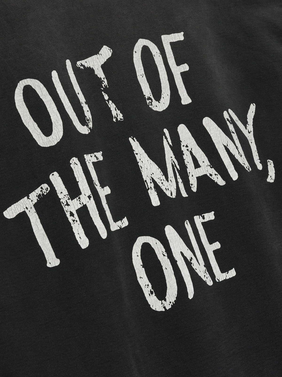 "Out Of Many, One" Hoodie