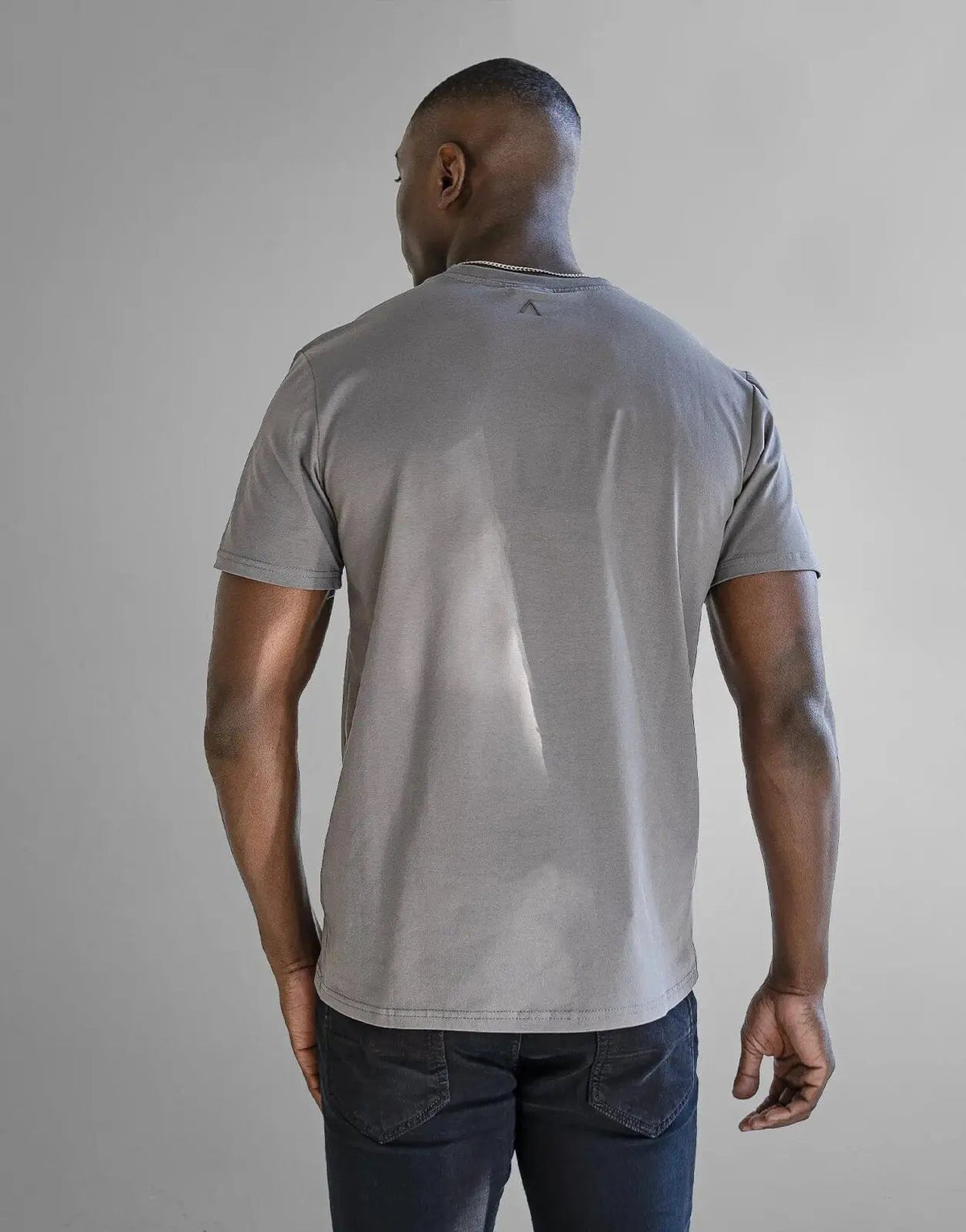Fade Iconic Badge Grey T-Shirt - view 5