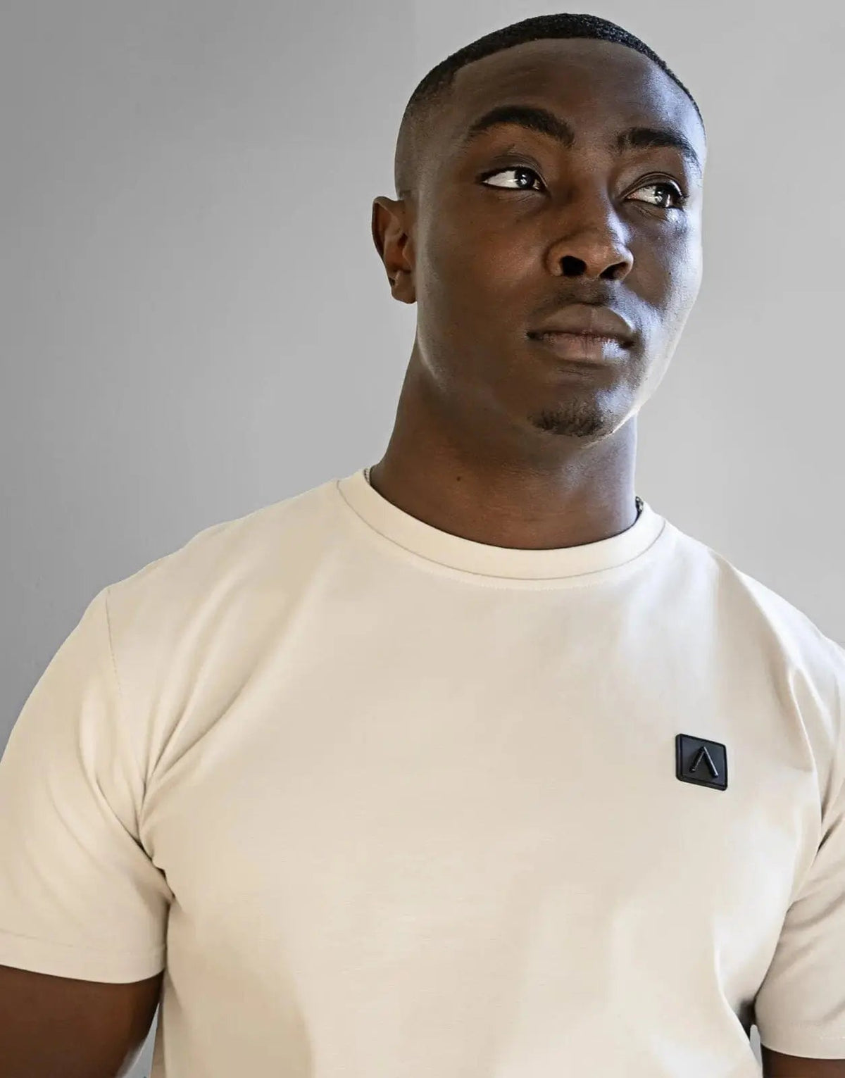 Fade Iconic Badge Stone T-Shirt - view 2