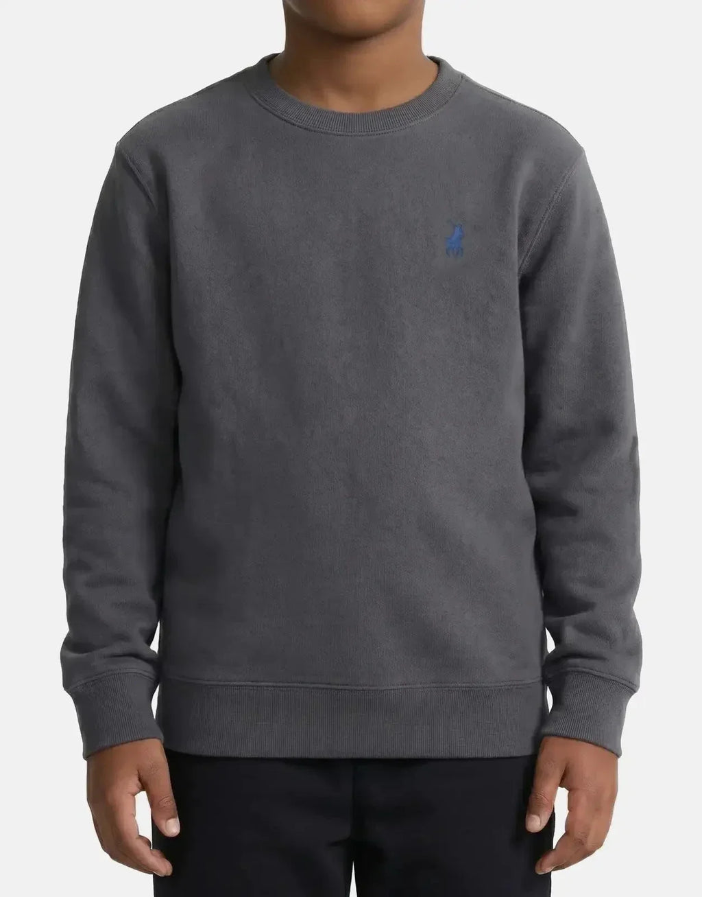 Polo Boys Adrian Gunmetal Sweatshirt