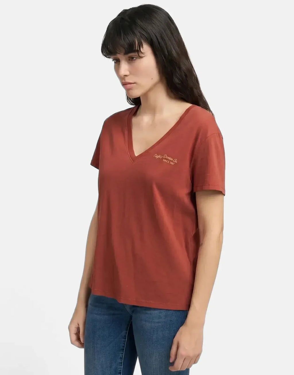 Replay V-Neck Brick Brown T-Shirt - view 3