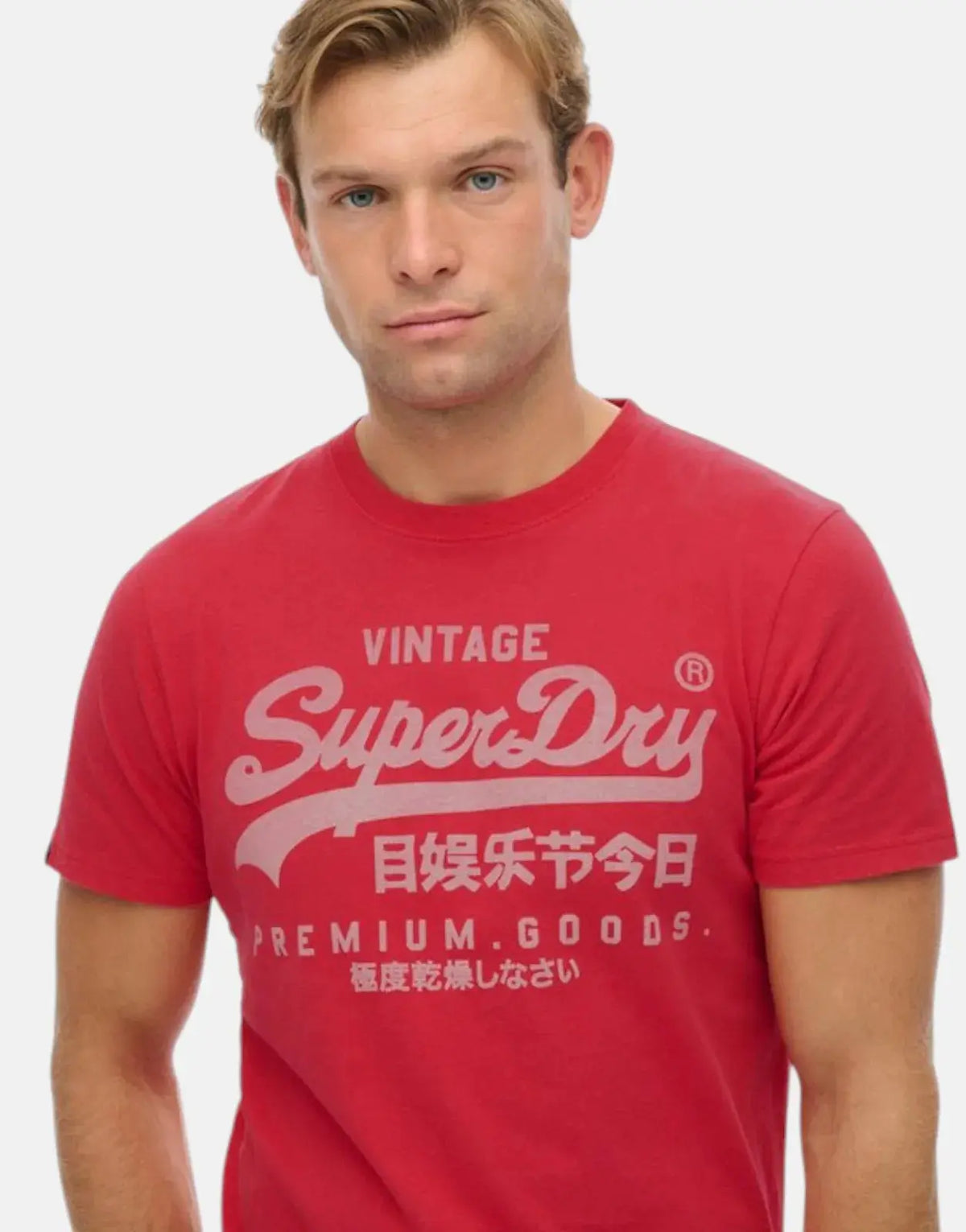 Superdry VL Classic Indiana Red T-Shirt - view 3